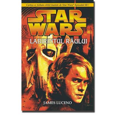 LABIRINTUL RAULUI